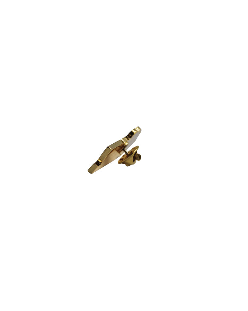 Pin Judiz golden logo