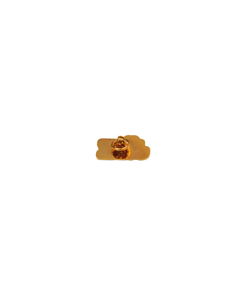 PIN JÜDIZ LOGO